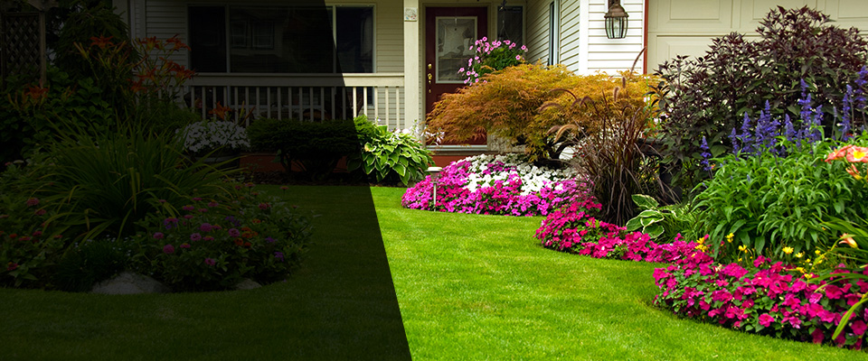 Blaine Landscapers