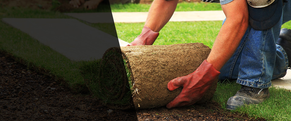 Blaine Landscapers